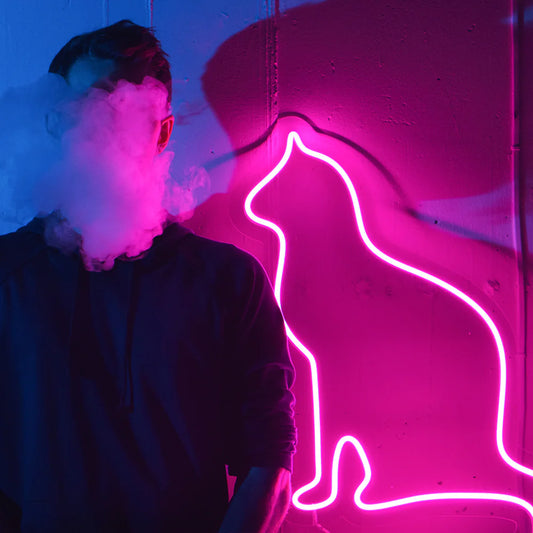 Enseigne Néon LED Cat Silhouette - LED Neon Light in Morocco – Gift et Decor Maroc